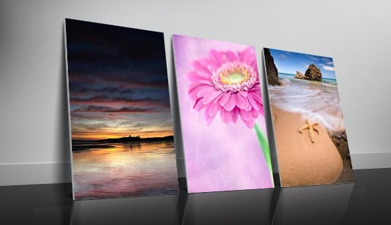 Where To Get Canvas Prints